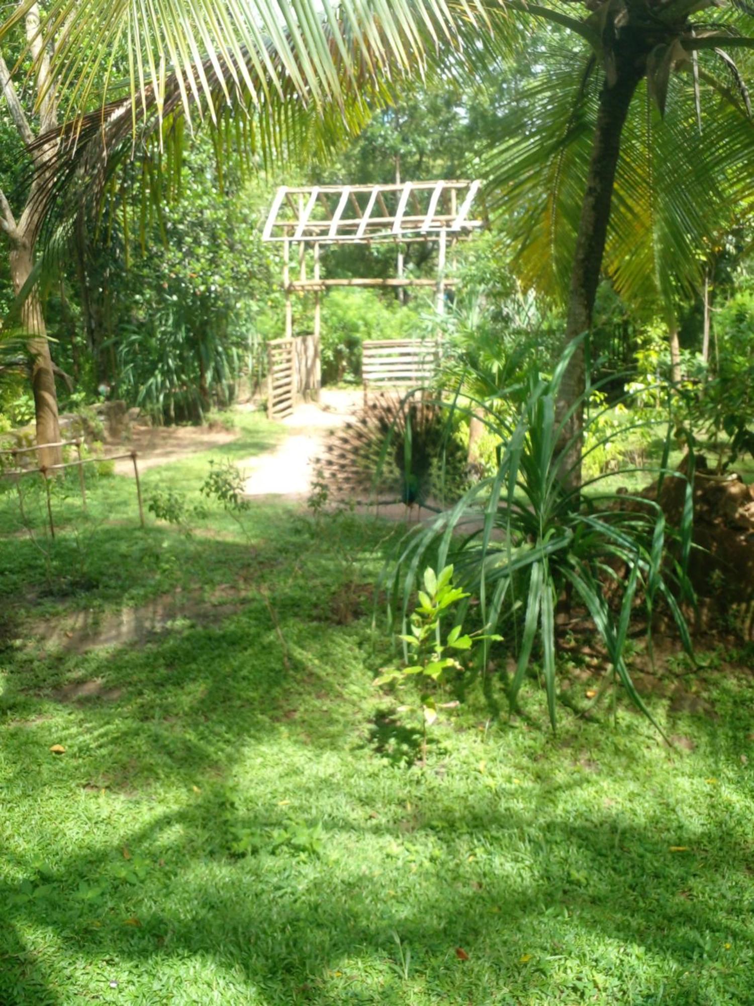 Home In The Island Tangalle Bagian luar foto
