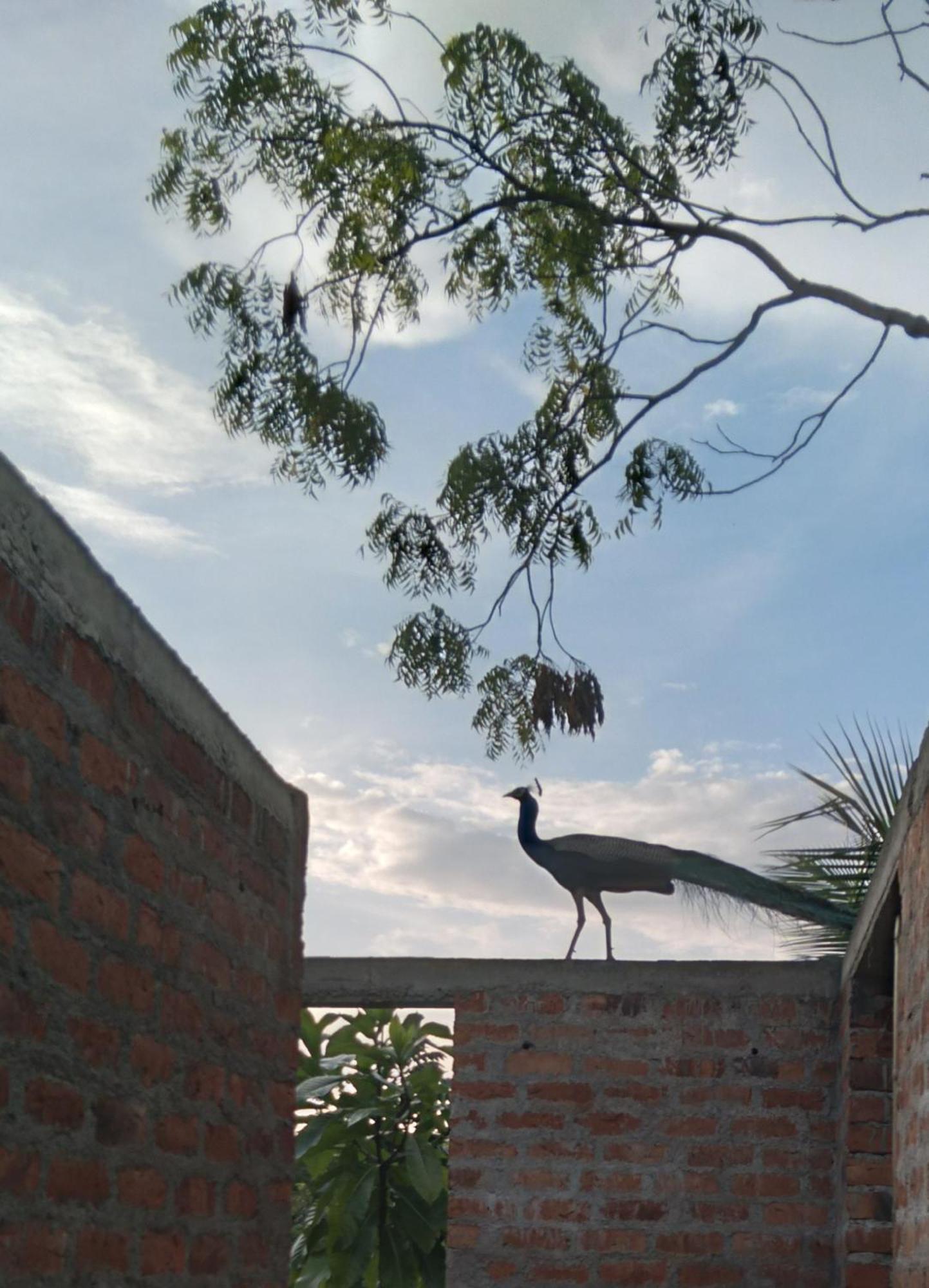 Home In The Island Tangalle Bagian luar foto