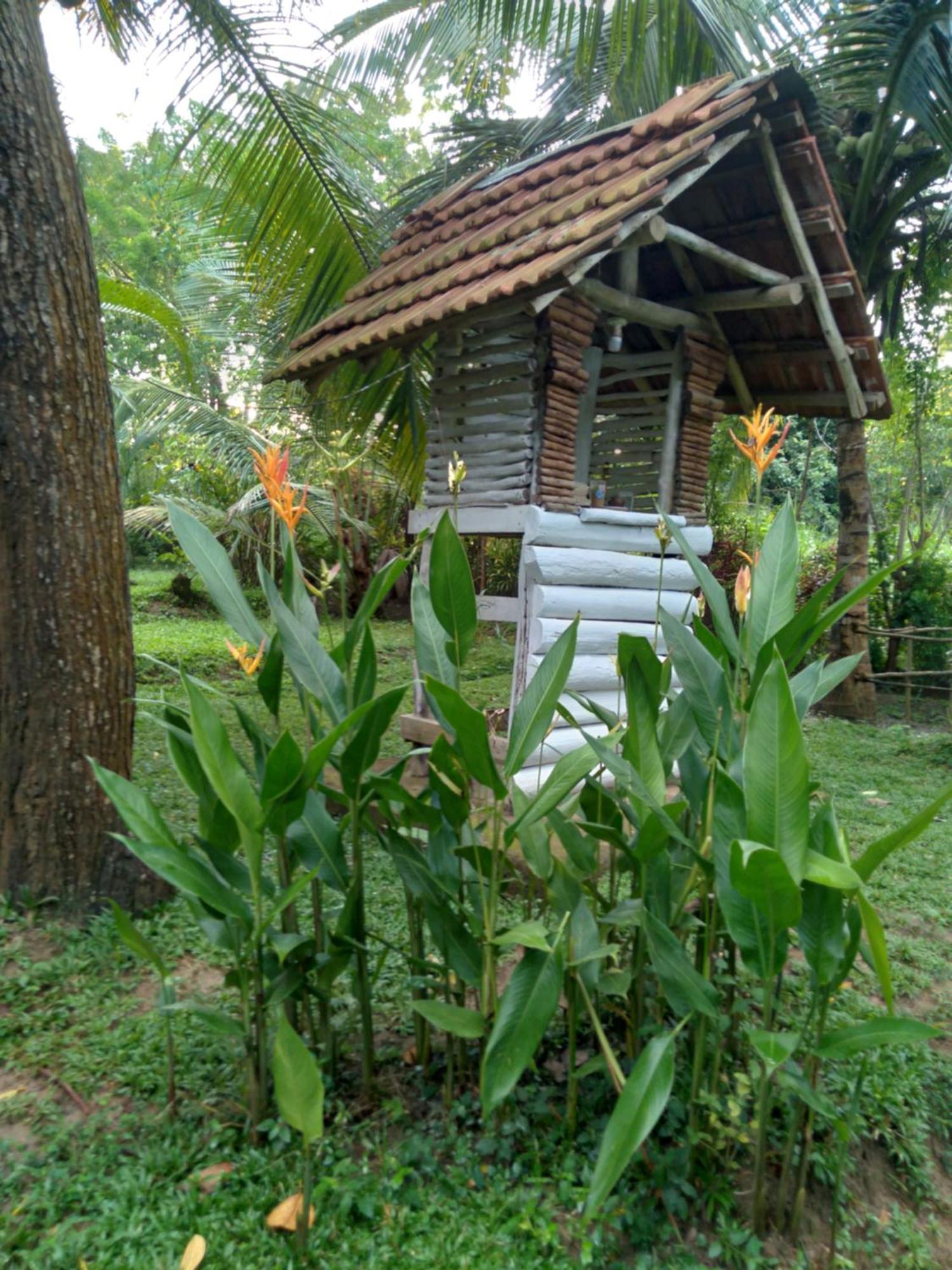 Home In The Island Tangalle Bagian luar foto