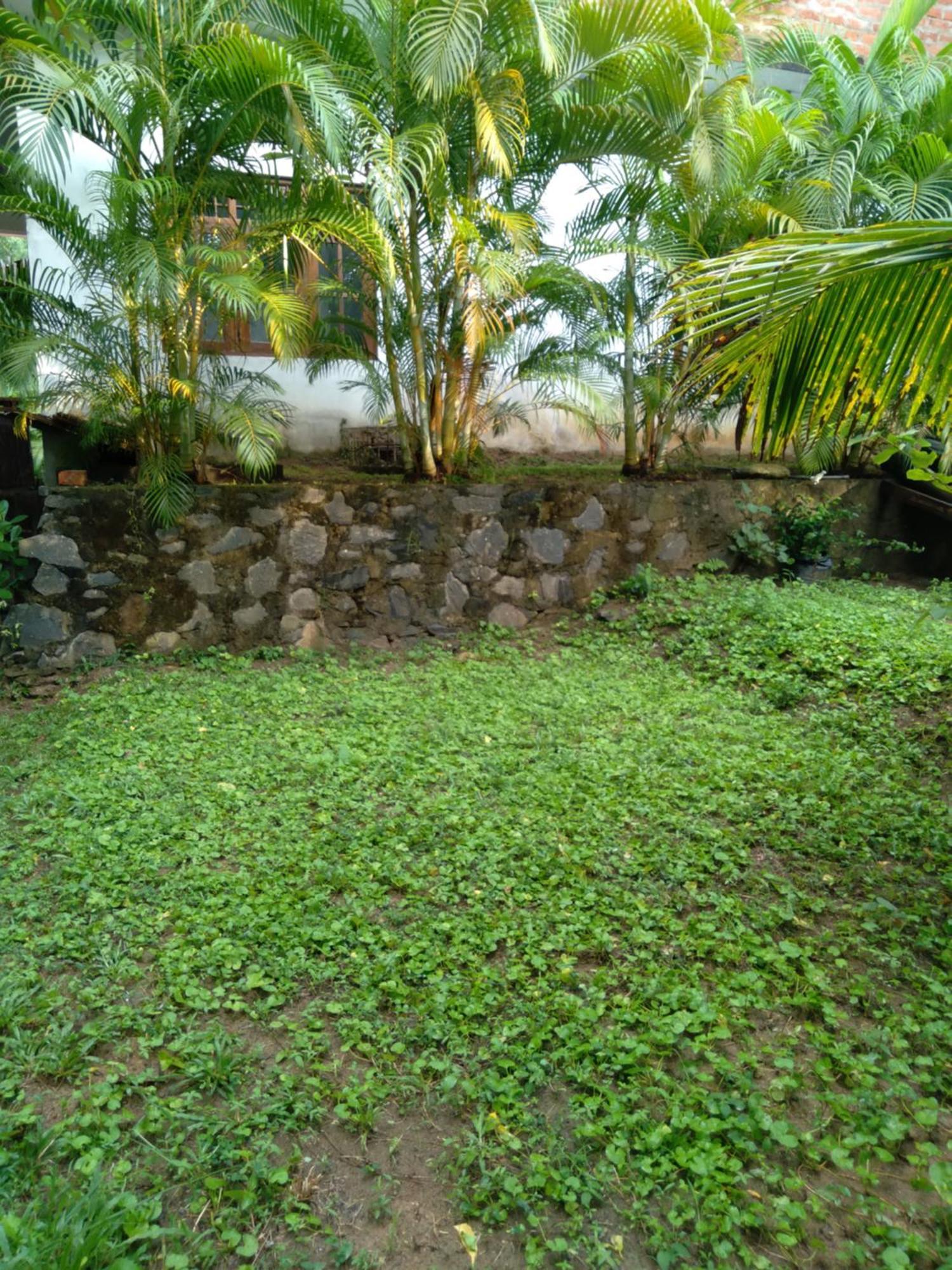 Home In The Island Tangalle Bagian luar foto