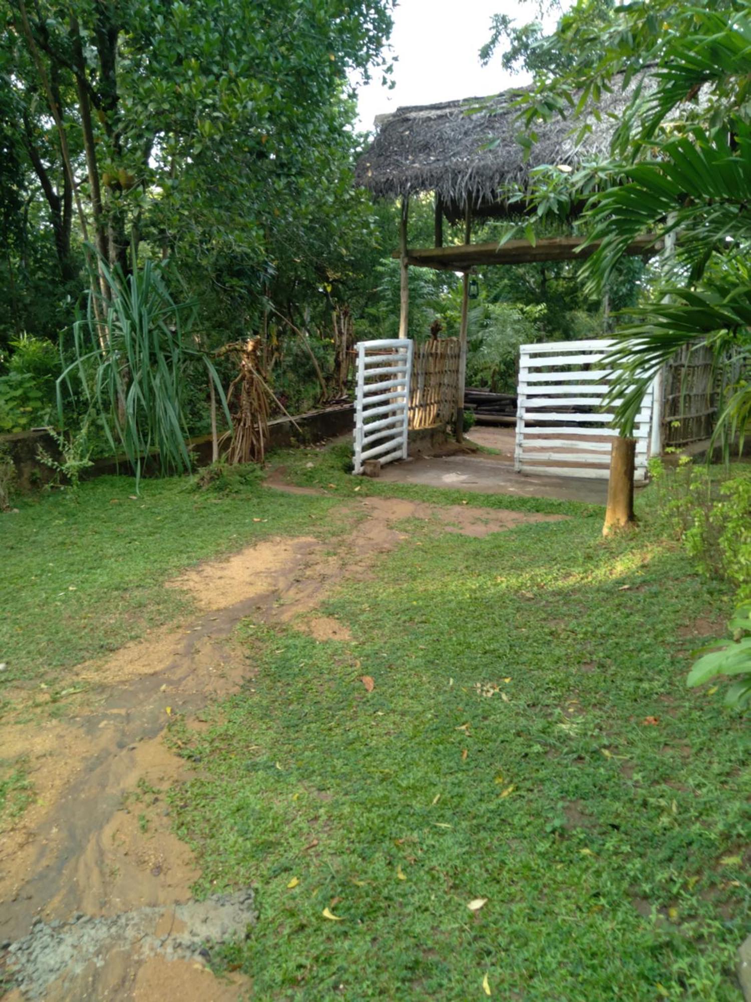 Home In The Island Tangalle Bagian luar foto