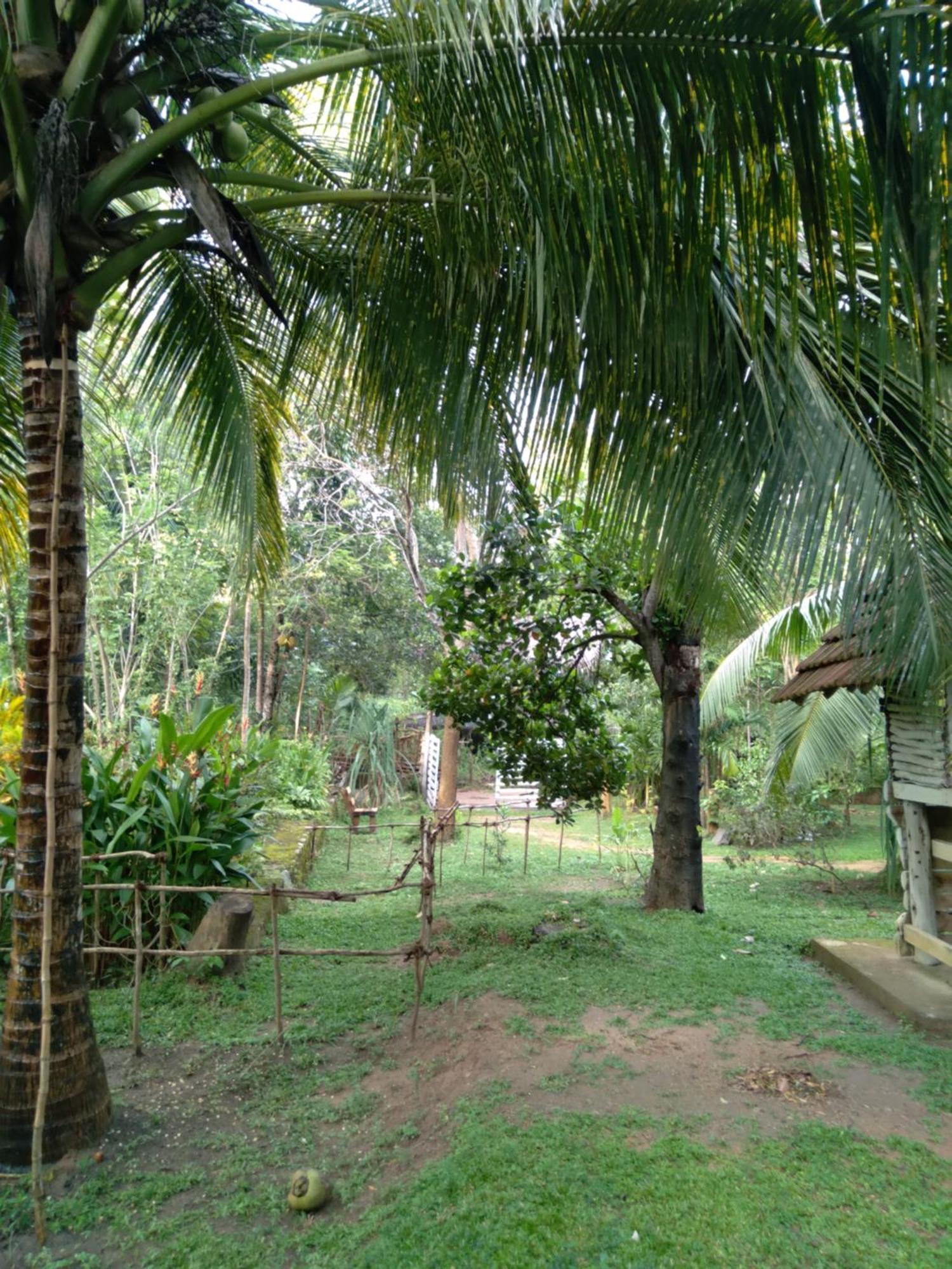 Home In The Island Tangalle Bagian luar foto
