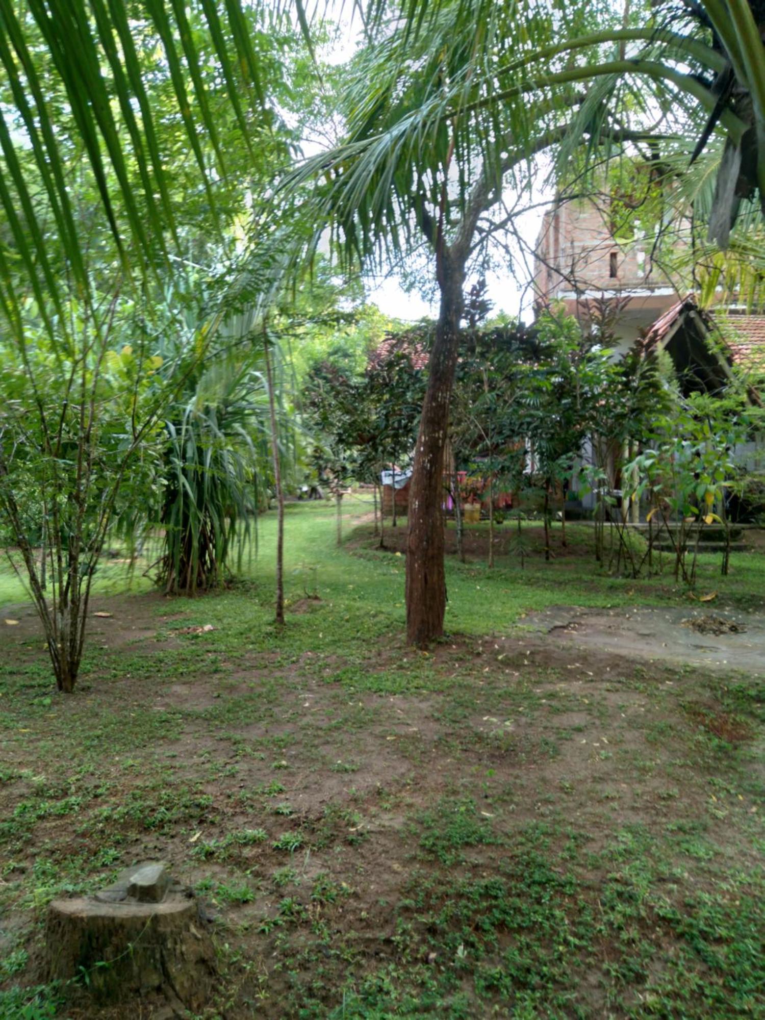 Home In The Island Tangalle Bagian luar foto