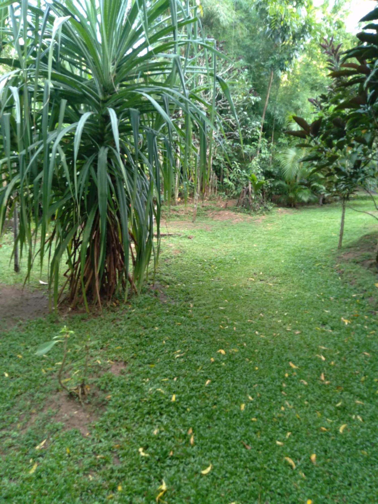 Home In The Island Tangalle Bagian luar foto